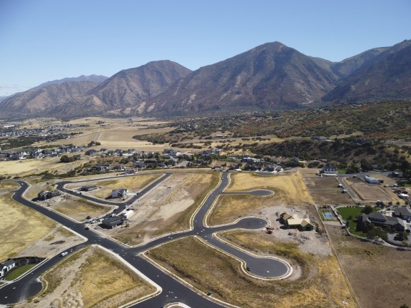 Longview Meadow Estates